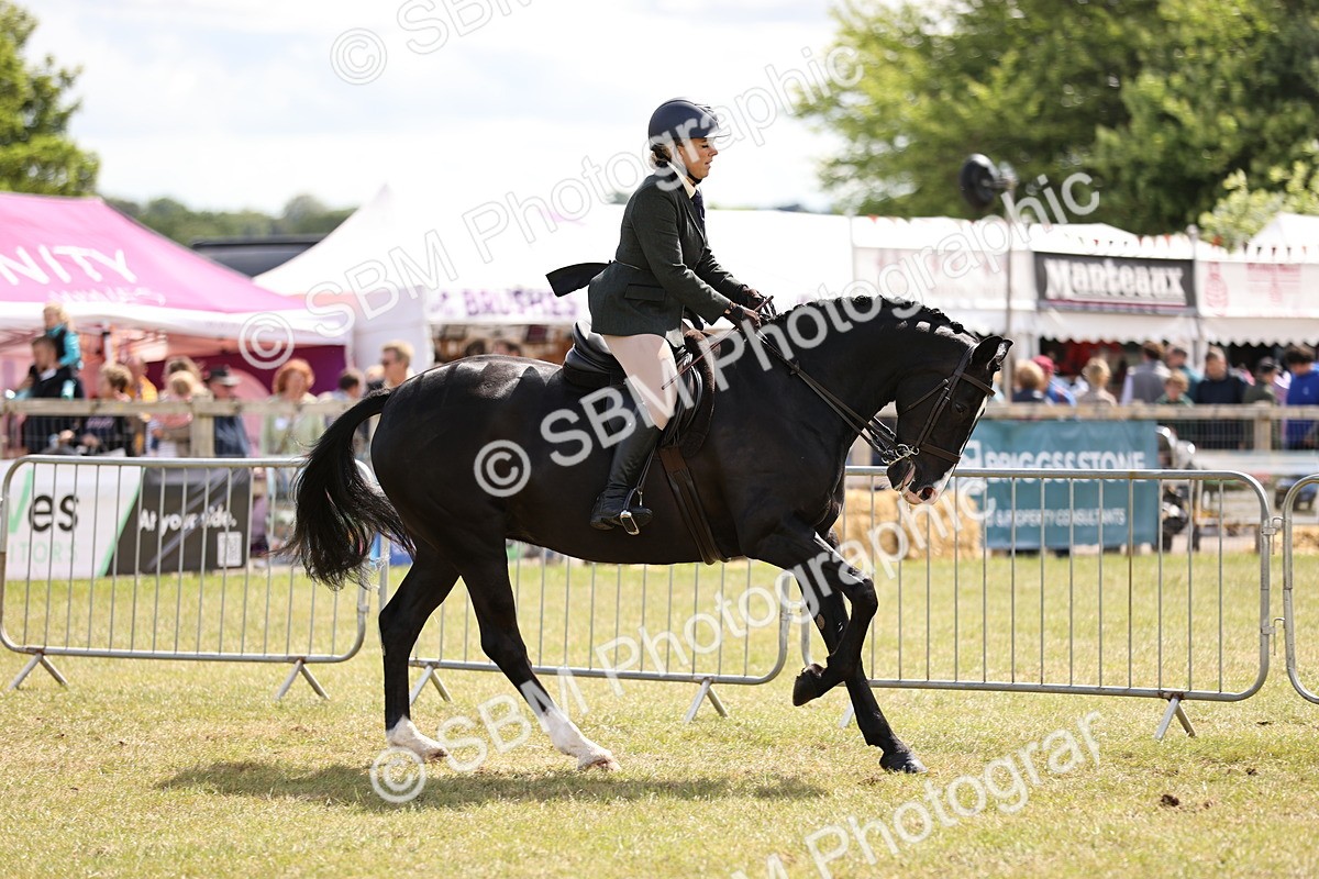 SBM_14527 - Class 88-89 - LIHS BSHA Rising Star of Ridden Hunter Type