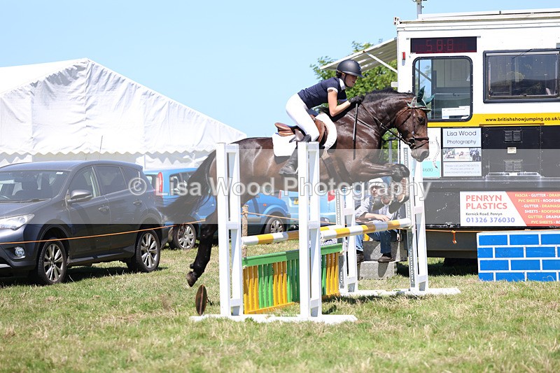 3E7A5538 - Class 9: Senior British Novice/90cm open