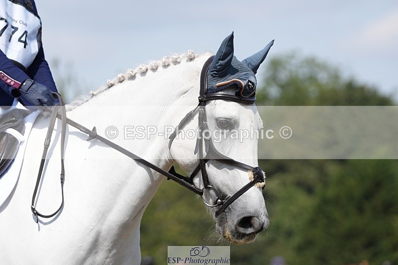 250823A-121218-29278 - Arena A