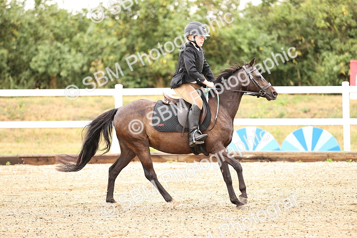 SBM_000115 - Class 2 - 50cm