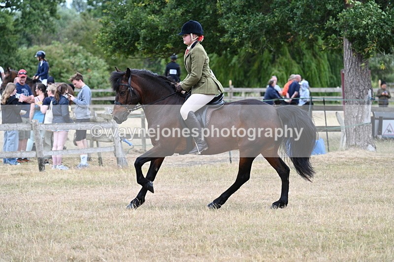 WJ7_0626 - Class 6 Ridden Mountain and Moorland
