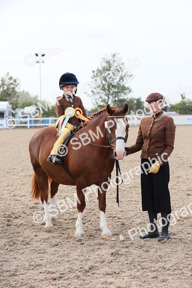SBM_17049 - Class 314 Family Horse/Pony