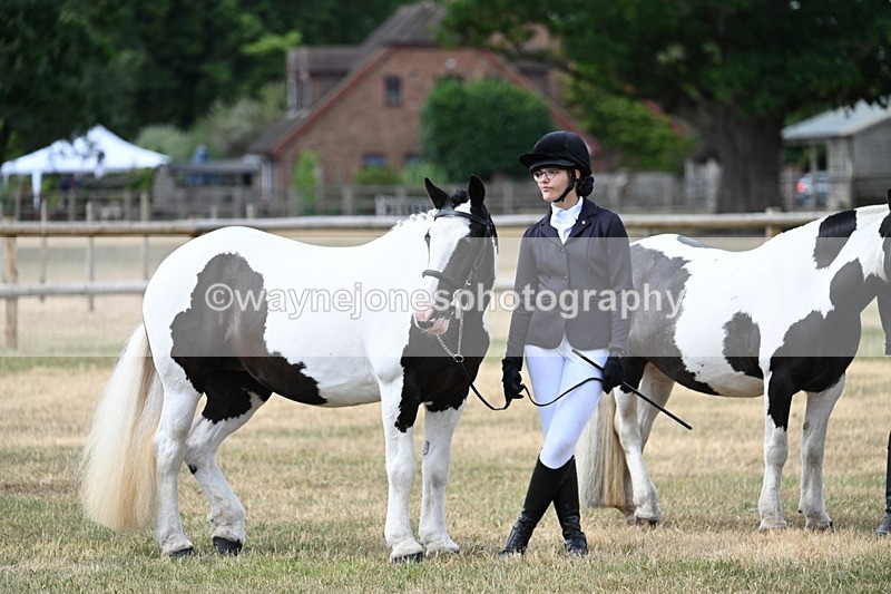WJ7_1655 - Class 4 Prettiest Mare up to 14.2hh in hand