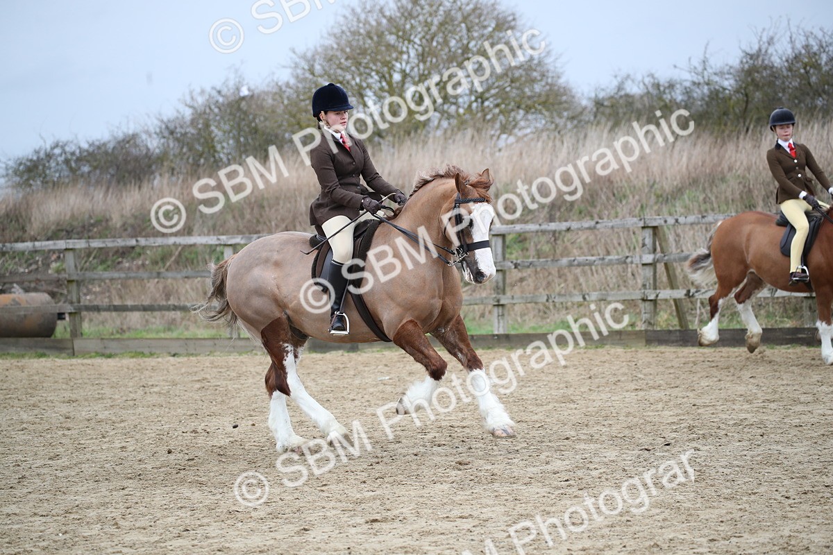 SBM_006121 - Class 10-13 - RIHS Small Large Breeds