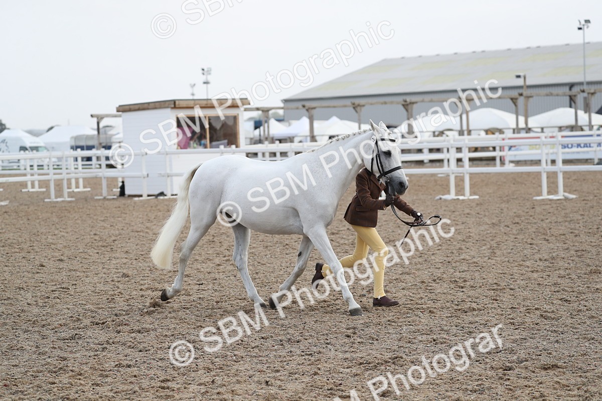 SBM_23134 - Class 605 - 2025 Area - IH Veteran