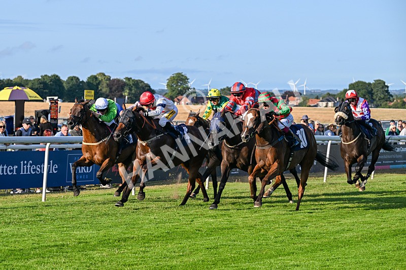 200726-Race 2-Opal Storm-6211 - Race 2 19.00pm Happy Birthday Katie Exon Handicap