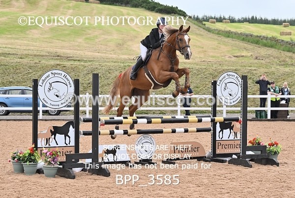 BPP_3585 - CLASS 1 WED Nupafeeds Senior Dicovery/1m open