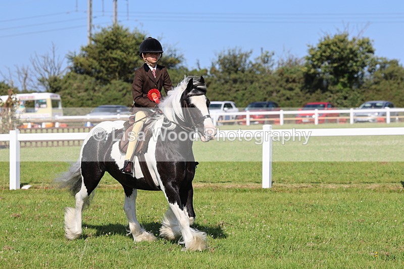 IMG_1611 - Class 30: Ridden Native/Trad Coloured Pony