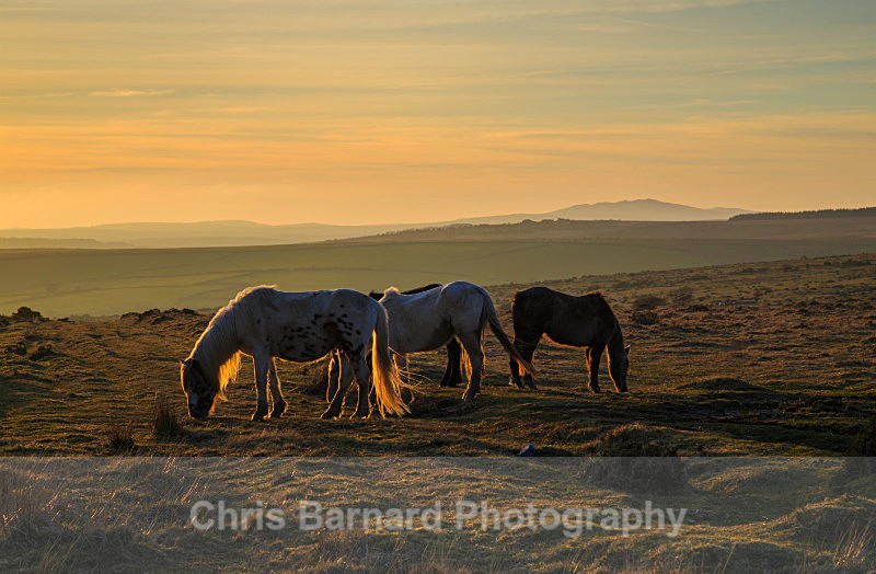  - Bodmin Moor
