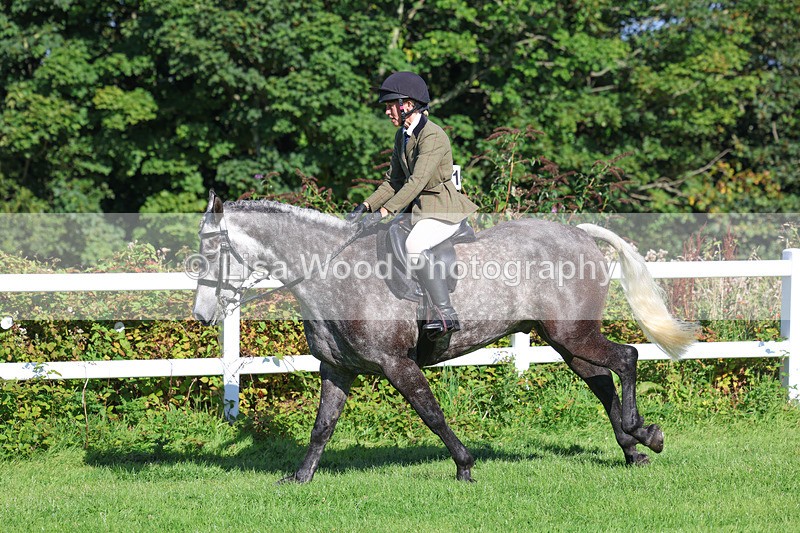 3E7A7858 - Class 2: Open Working Hunter pony