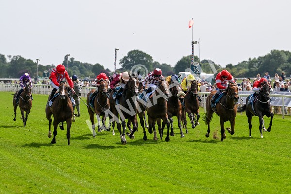 130625-Race 3-Easy Peeler-9000 - Race 3 3.00pm British EBF Supporting Racing With Pride Fillies' Handicap