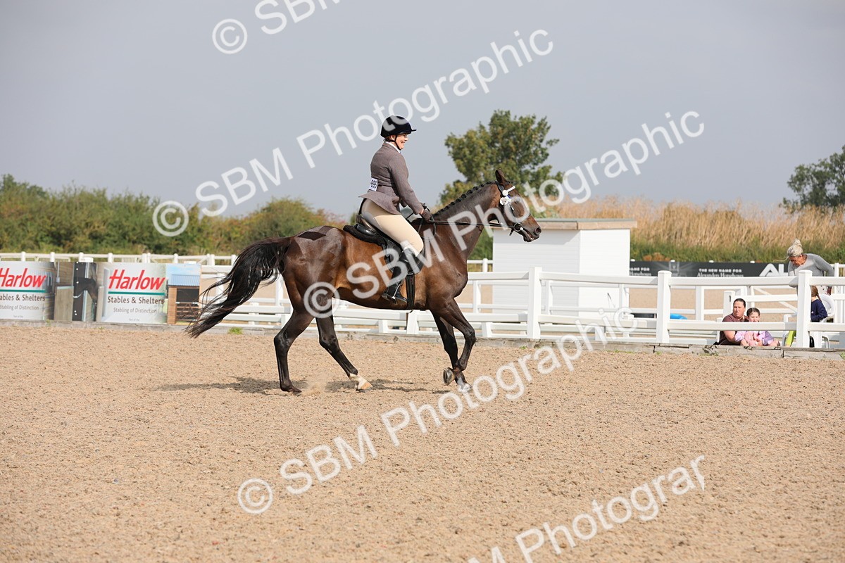 SBM_11452 - Class 305 Ridden Foreign Breeds- Pure Bred