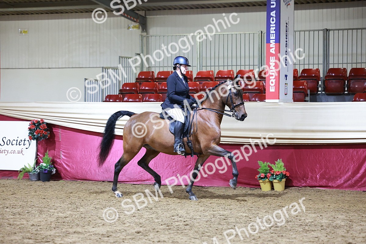 SBM_20687 - Class J - Foreign Breeds Champ