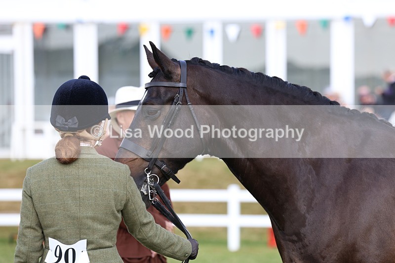 3E7A9104 - Class 3: Rising Star S/L Hunter