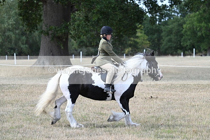 WJ7_7102 - Class 14 Ridden Coloured