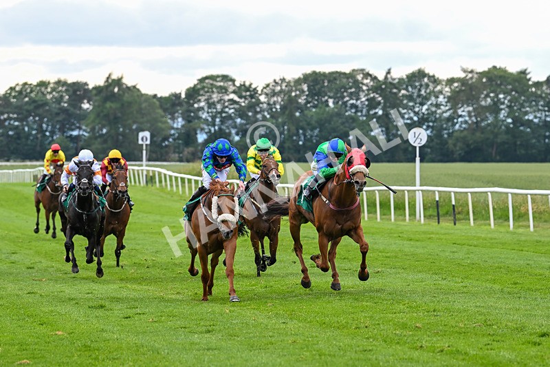 170625-Race 4-Lord Abama-5147 - Race 4