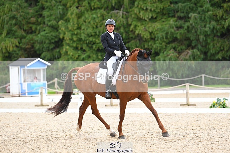 230813-143040-07779 - Cls 13 Medium Bronze 13.15 to End