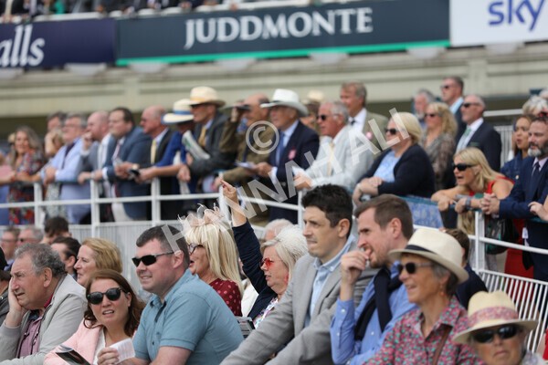 yr17082022r3-18 - Race 3 3.00pm Sky Bet Great Voltigeur Stakes