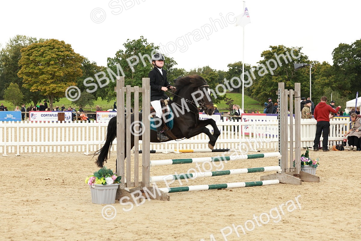 SBM_63569 - J12 - Junior Pony 55cm Championship