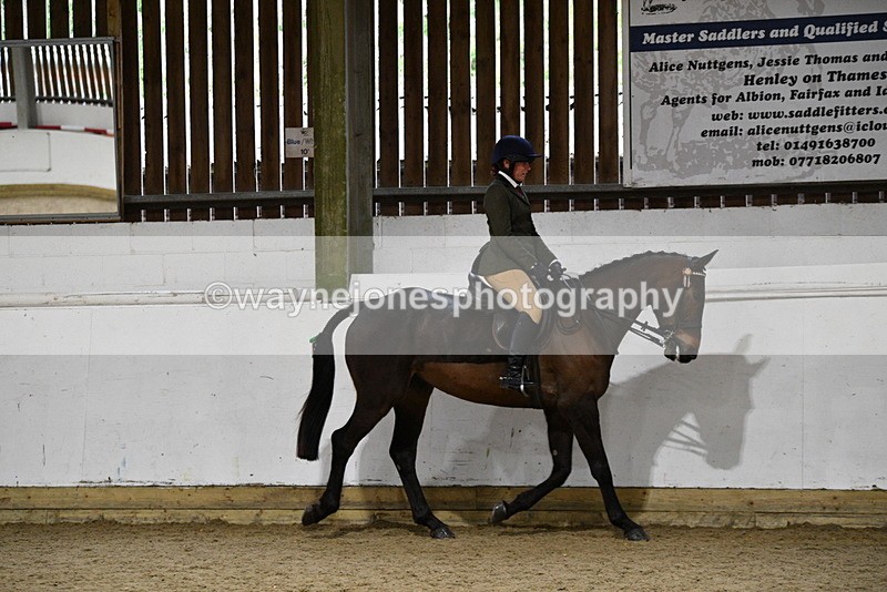 WJ5_8764 - Class 15 Ridden Show Horse