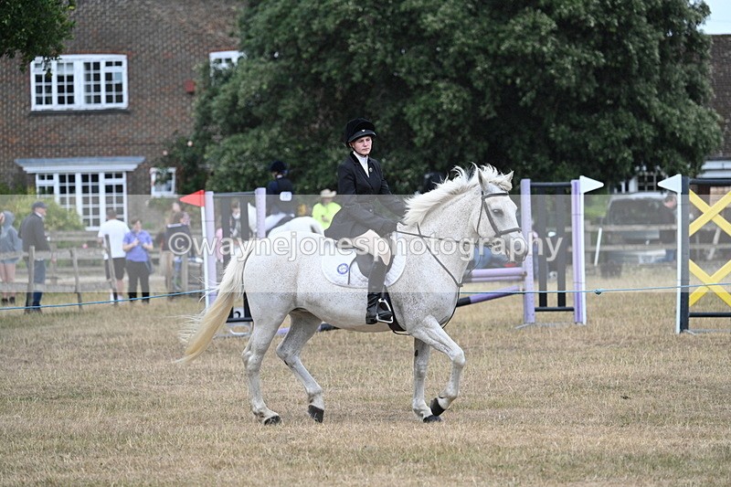 WJ7_0953 - Class 7 Riding Club Show Horse