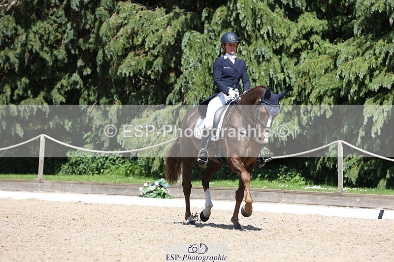 230526-145443-06578 - 376-DIRECT_BALLYTARSNA_DUCAREL-Jodie_Amos-WEDTrotUp+DR