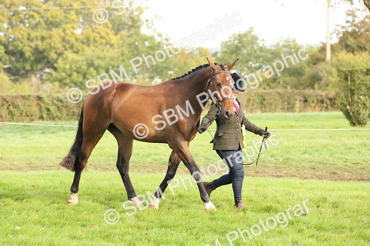 SBM_54727 - S53 - Hunter In Hand