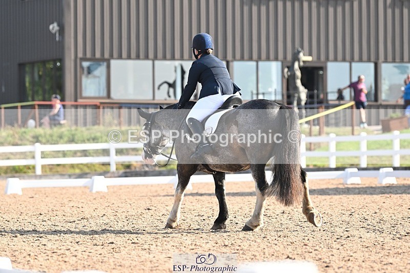 250816-091152-02855 - 055-Neve.HollowaySD.Out.of.the.Blue