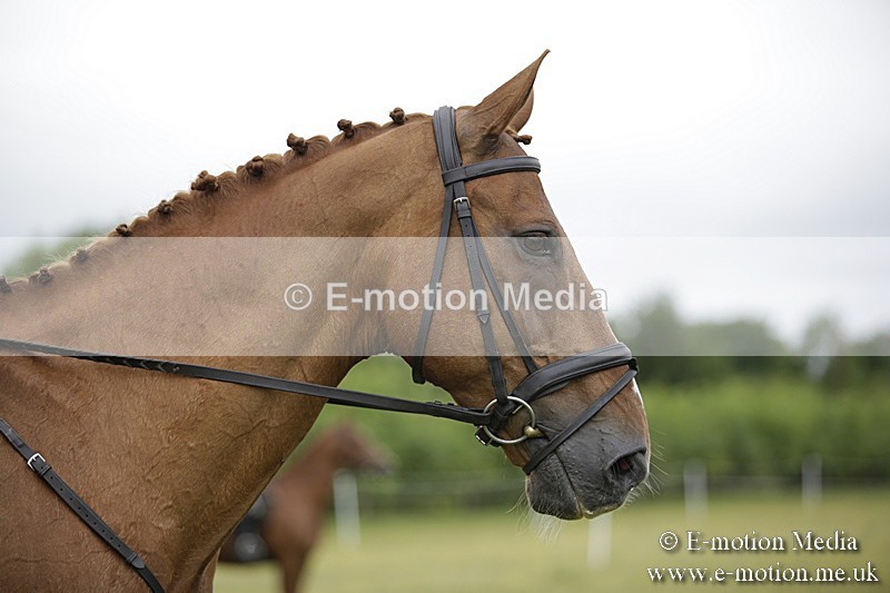 BVR160717-817 - Ring 1 BVRC Show 16/07/17