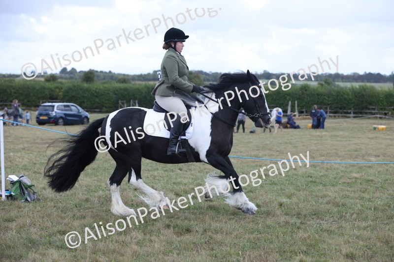 20250831-4246 - Class 20 - Ridden Coloured