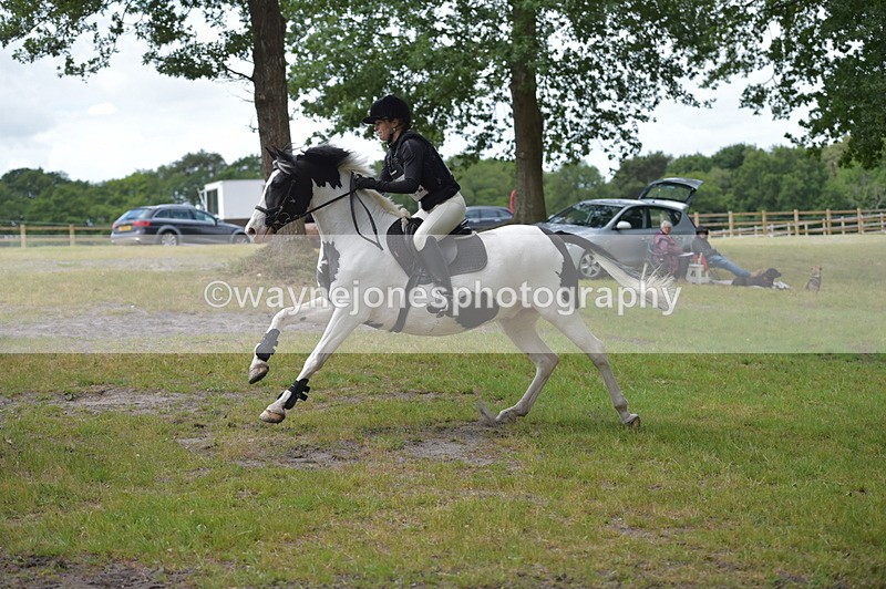 NGP_8501 - Time 12:08 to 12:15