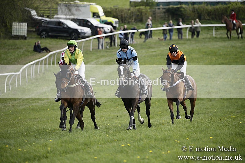 PtP 170417 315 - Old Berks Point-to-Point Lockinge 17/04/17