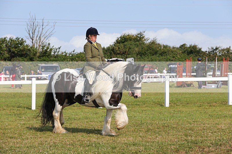1X9A3354 - Class 28: Ridden Native/Trad Coloured Pony