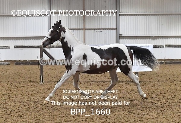 BPP_1660 - MORNING 9AM - 12PM