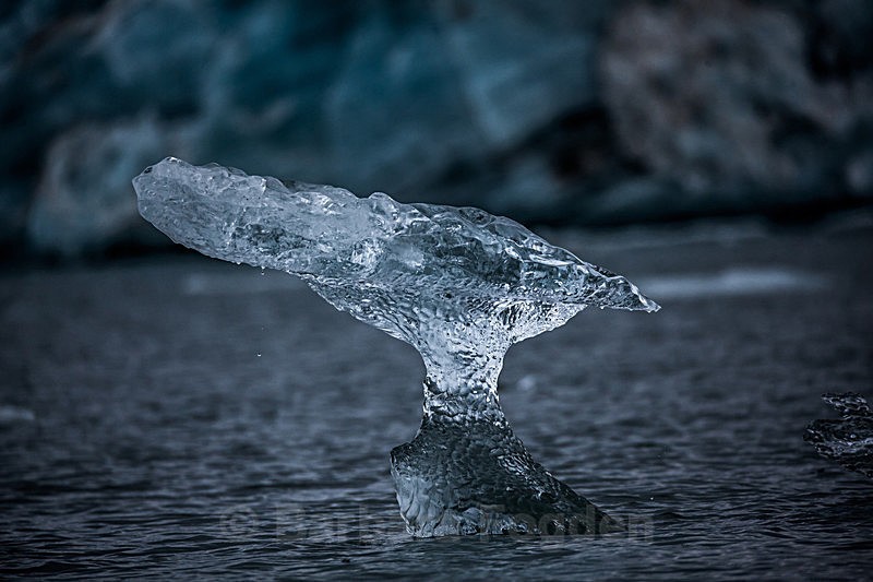 Ice 9074 - Trip with MS Expedition August 2016