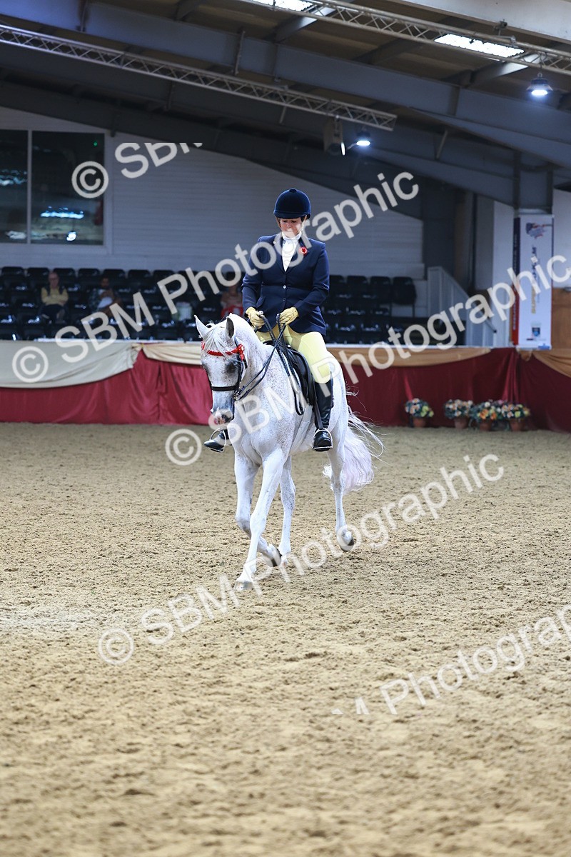 SBM_23363 - class 906 - Supreme Final - Ridden Pre Vet