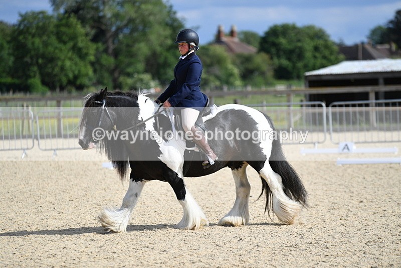 WJ5_7786 - Time 16:40 to 16:55