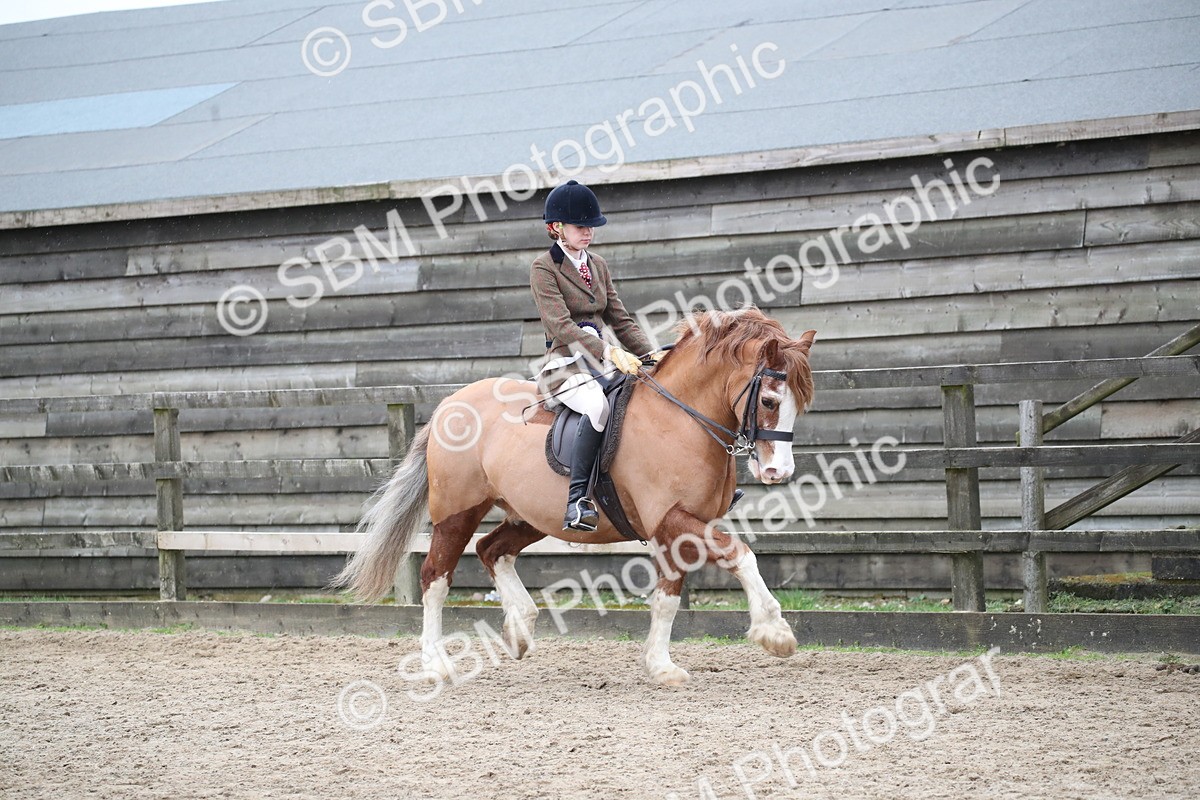 SBM_007328 - Class 10-13 - RIHS Small Large Breeds