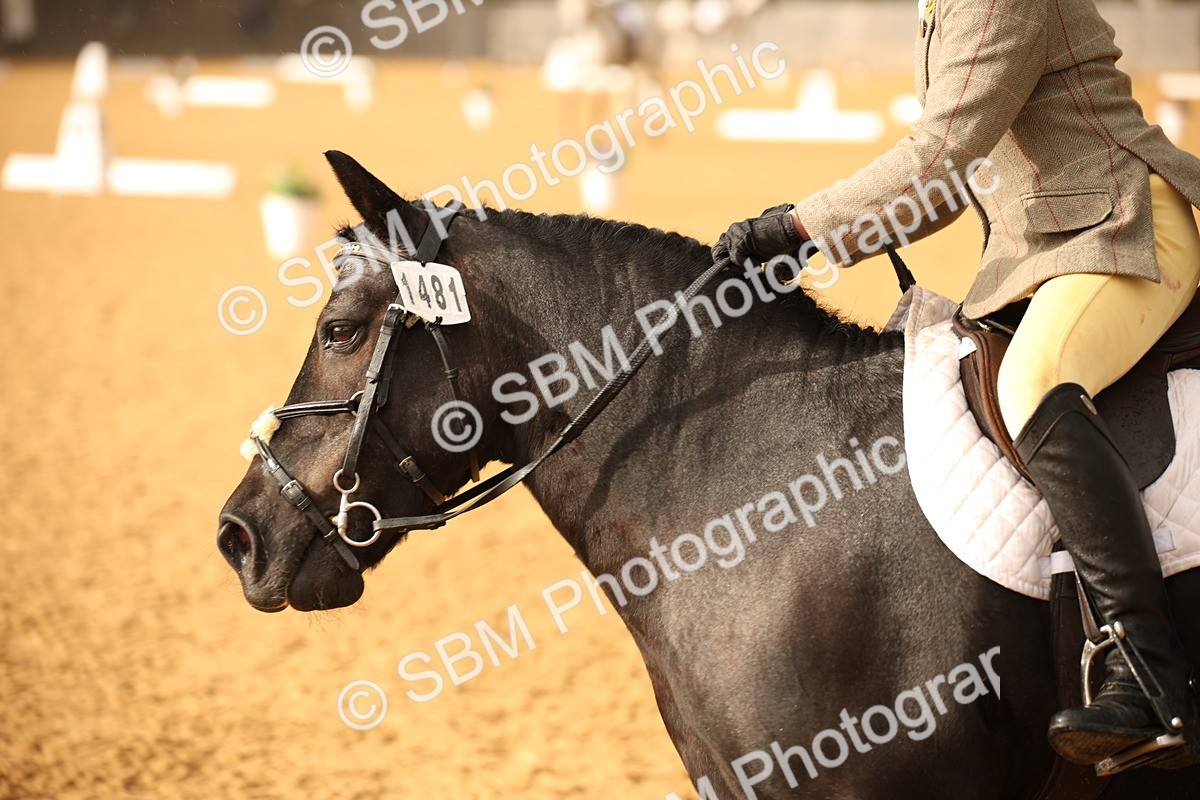 SBM_12364 - D3 Small  Tour Championship Intro A