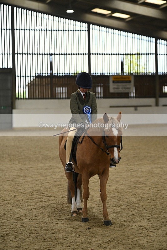 WJ7_4624 - Afternoon Champs