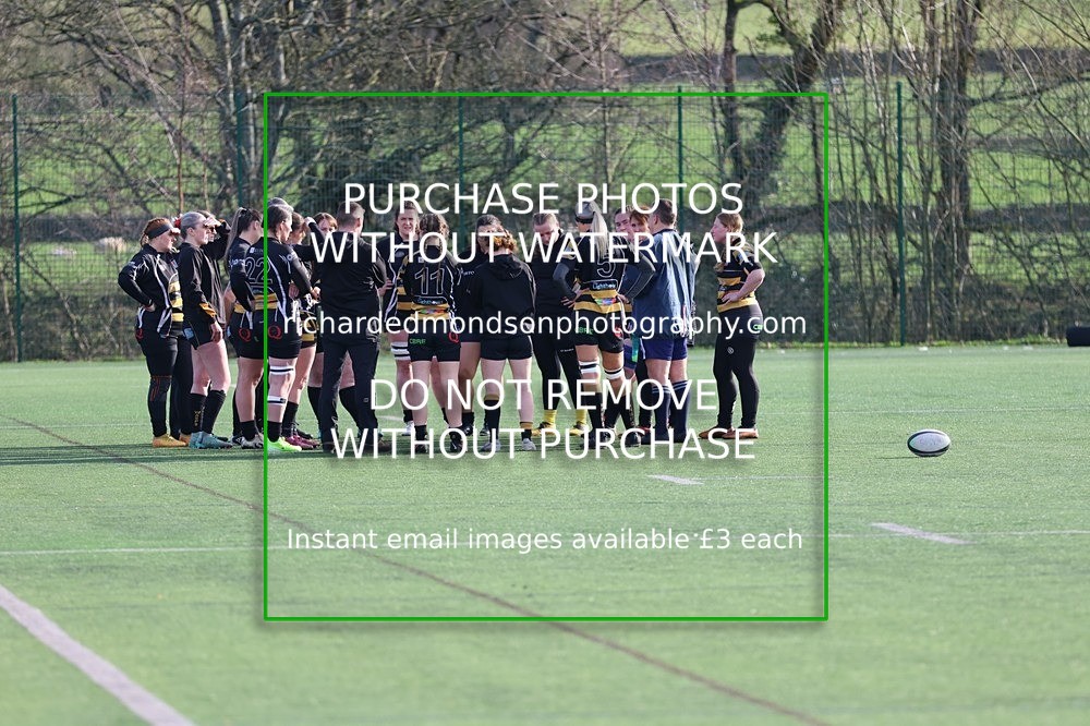 533A8501 - Kendal Wasps (14/2/26)