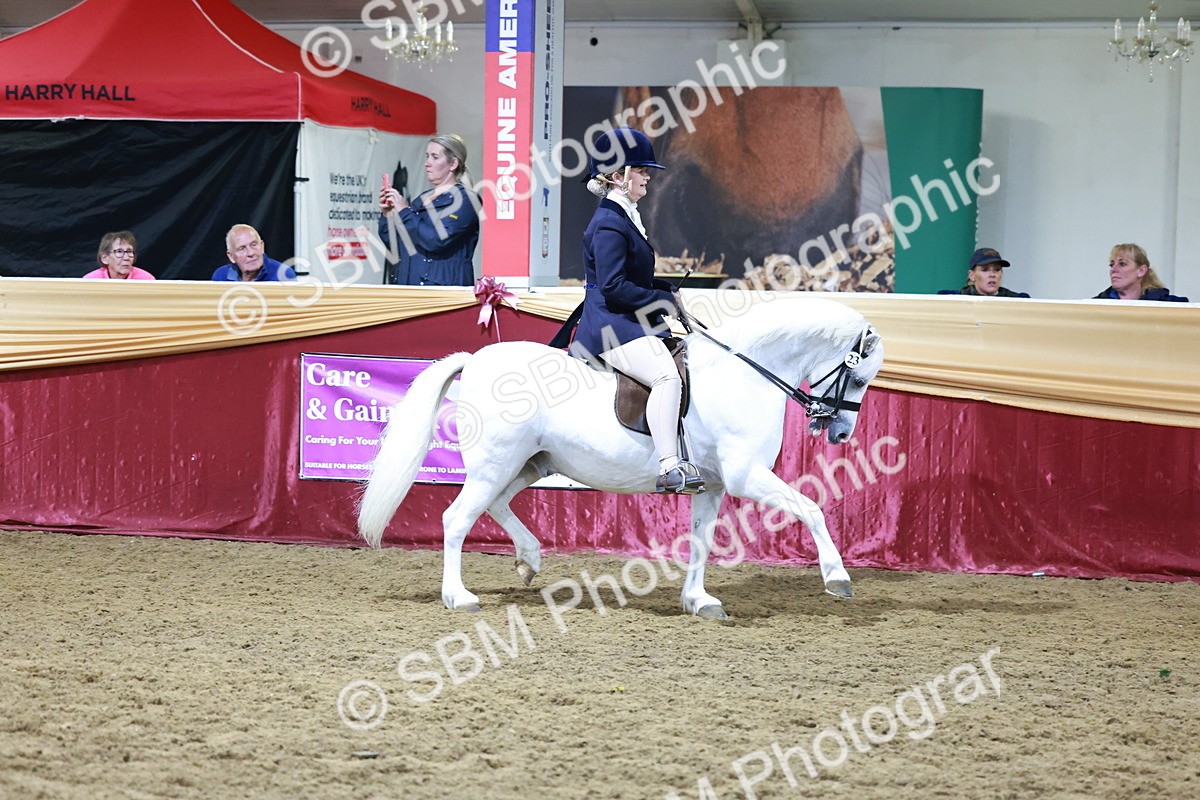 SBM_21064 - Class P - M&M Champs