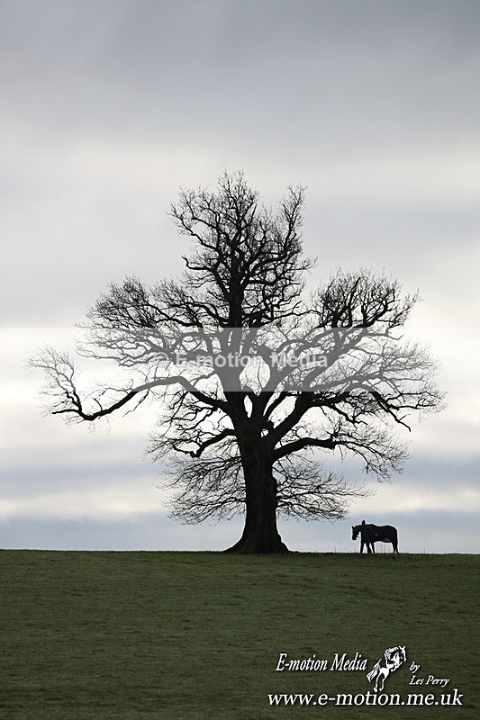 PtP 291224 66 - Harkaway Club PtP Chaddesley Corbett 29/12/24