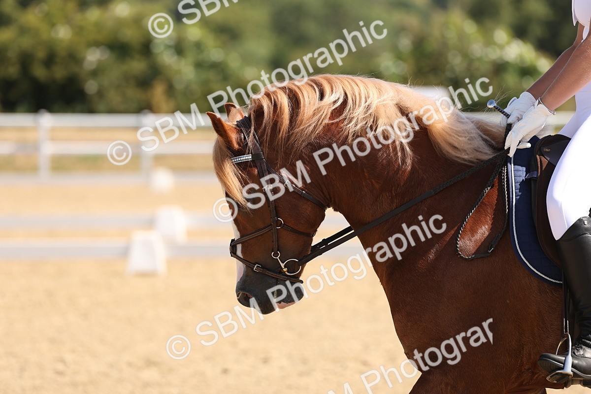 SBM_001080 - Intro 2