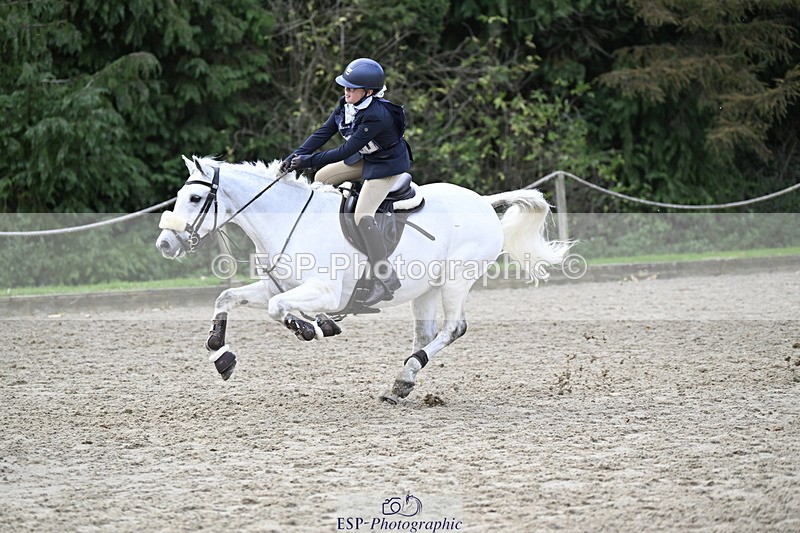 251005A-125214-03930 - Cls 08 Mini 70-75cm