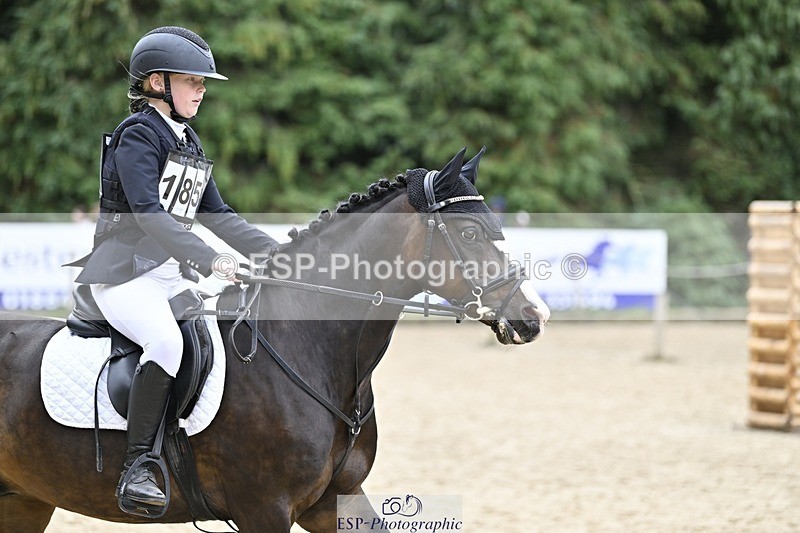 250820A-115550-03963 - Round 1, 11am to End