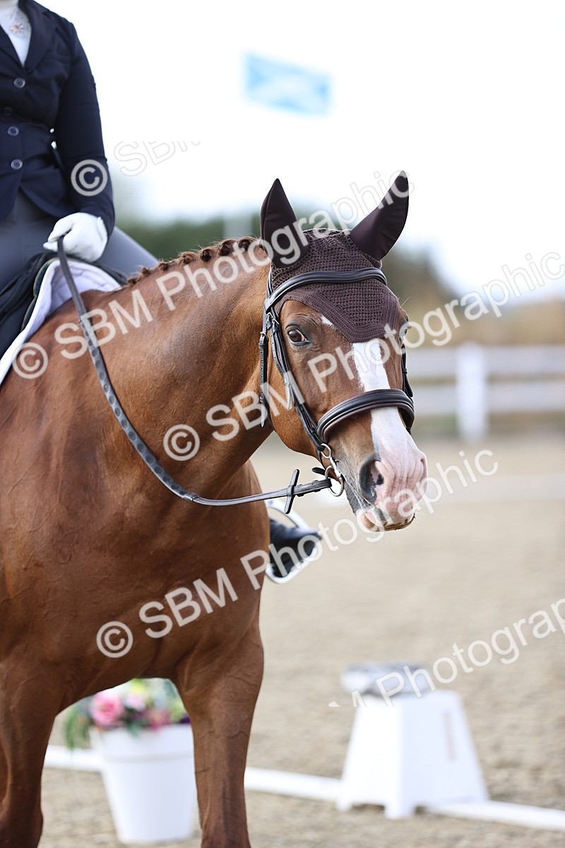 SBM_016060 - Class 5 - E5 Bronze  16.18.17.22