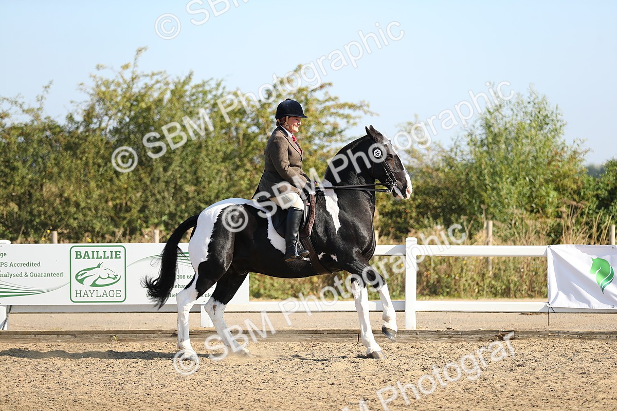 SBM_01271 - Class 42 Ridden Veteran