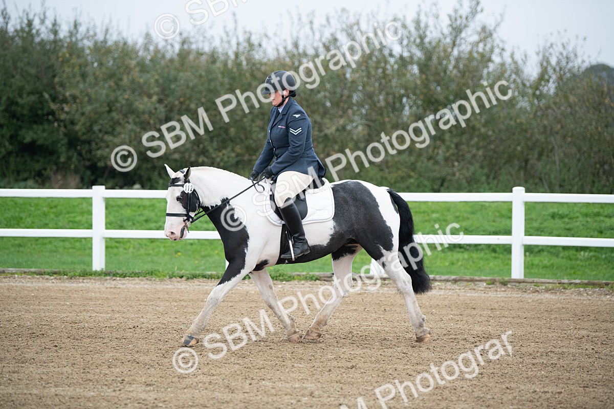 SBM_003487 - Introductory Test 3