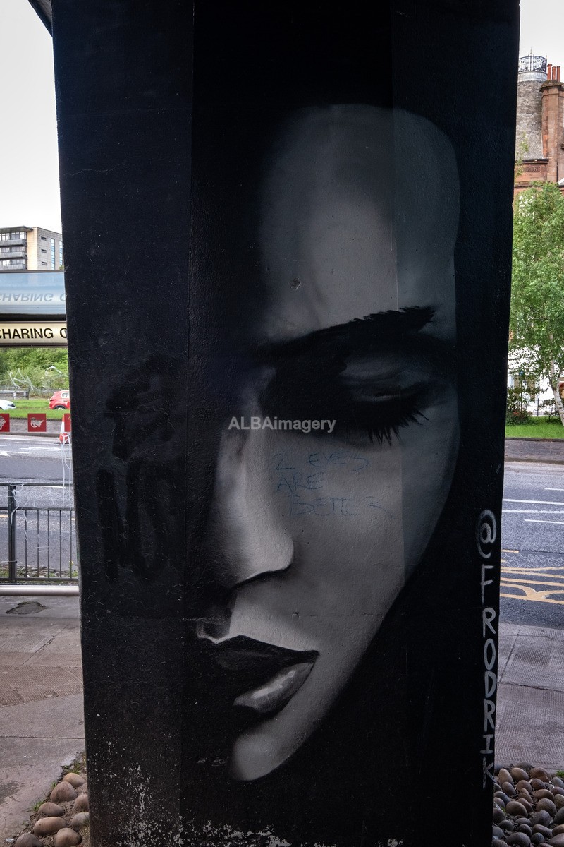 Glasgow Mural Trail - Mural Trail Images